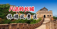 看黄色操逼网站中国北京-八达岭长城旅游风景区