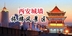 日日骚666中国陕西-西安城墙旅游风景区