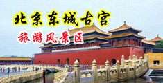 男cao女免费网站中国北京-东城古宫旅游风景区